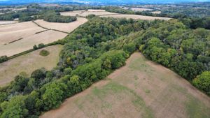 Photo 3- click for photo gallery